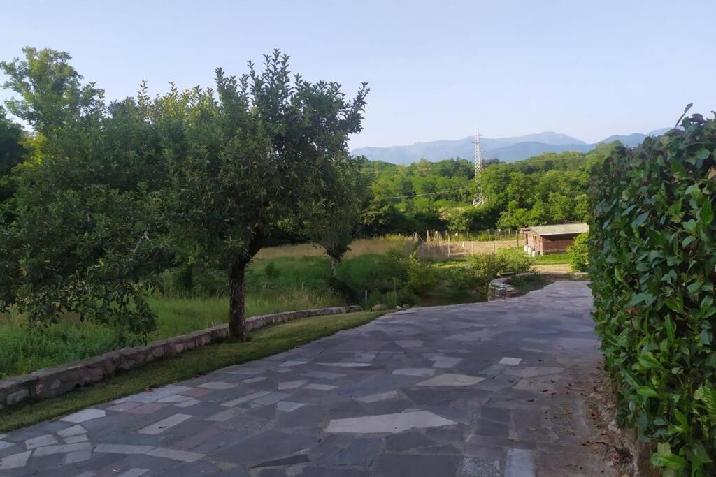 Appartamento Nel Verde Tra Cinque Terre E Versilia Barbarasco Екстериор снимка
